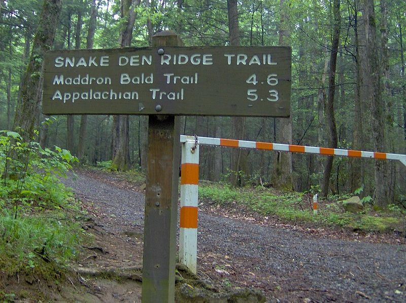Snake Den Ridge Trail &mdash; Great Smoky Mountains National Park