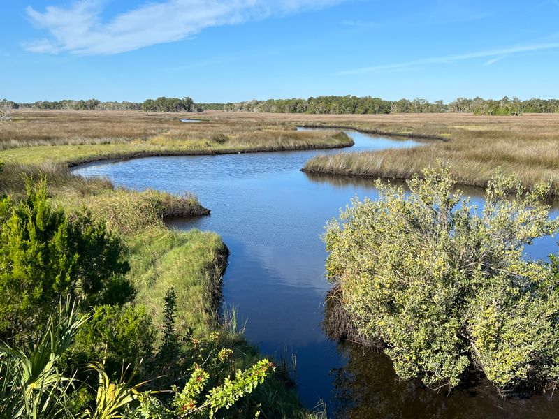 Beyond the Bar: Exploring Homosassa Like a Local