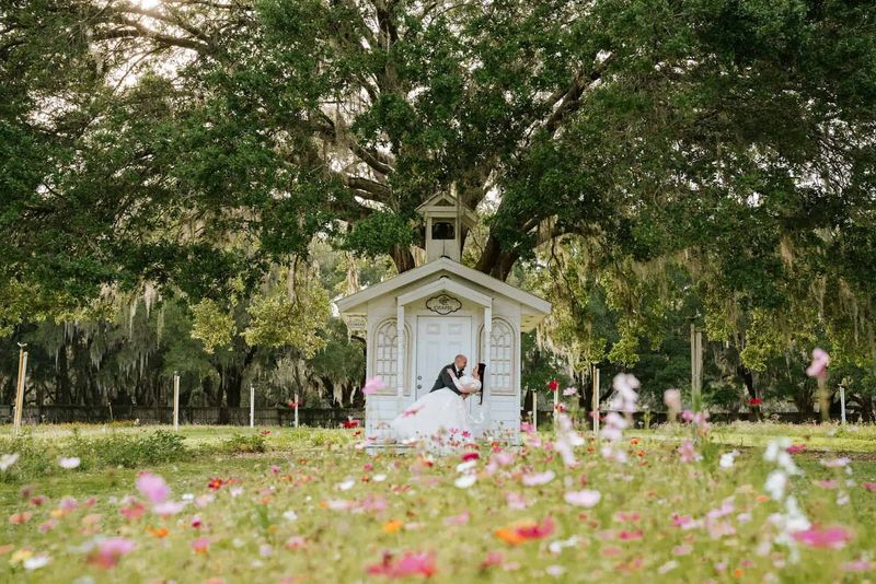 Ever After Farms (Tampa)