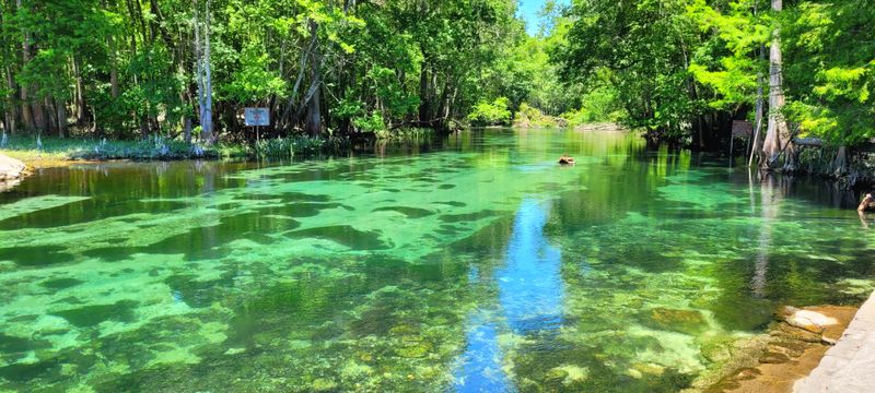 Ichetucknee Springs / Fort White