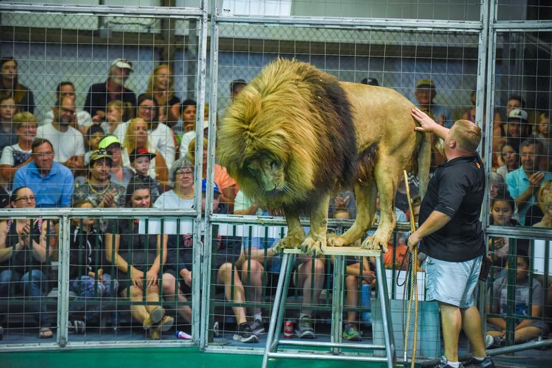 The People And Care Behind It All