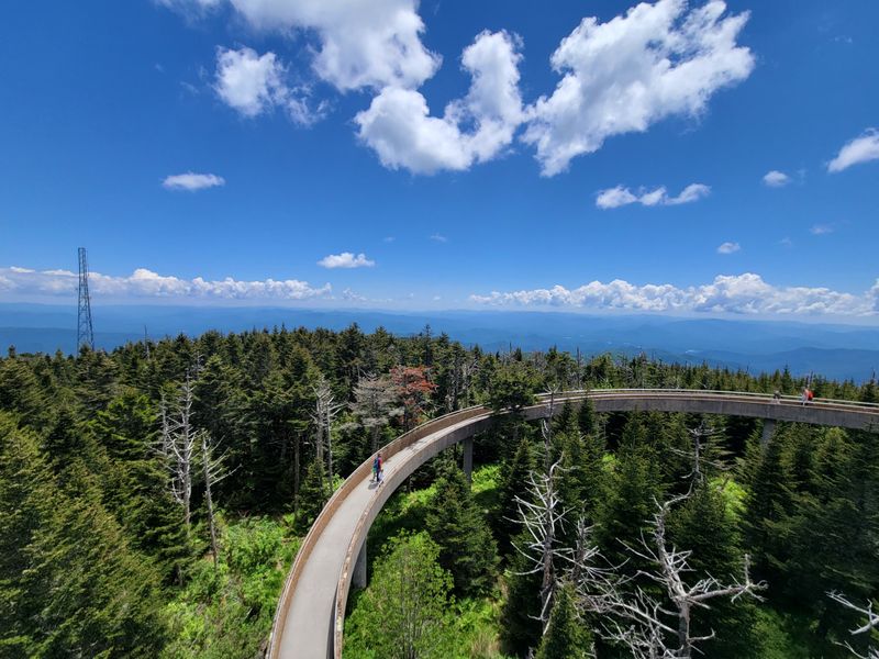 Clingmans Dome