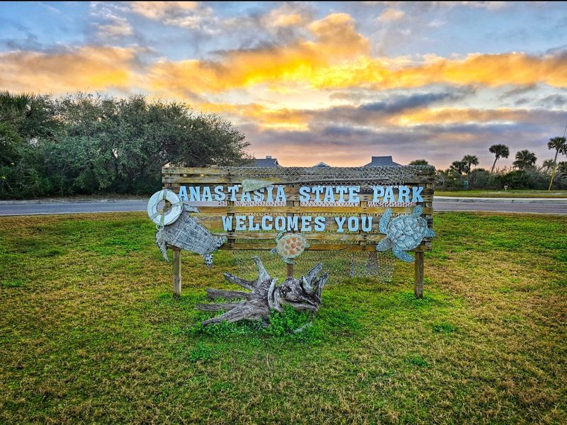 Camping or Glamping in Florida State Parks
