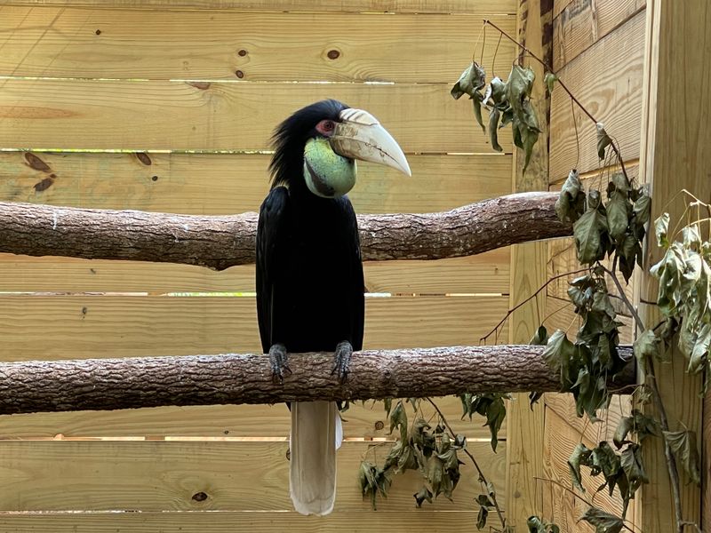 North Florida Wildlife Center