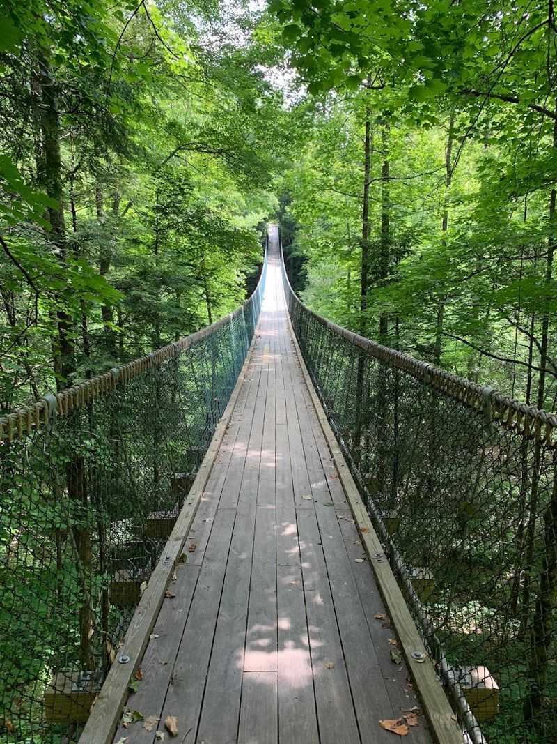 Walk Across America's Longest Swinging Bridge