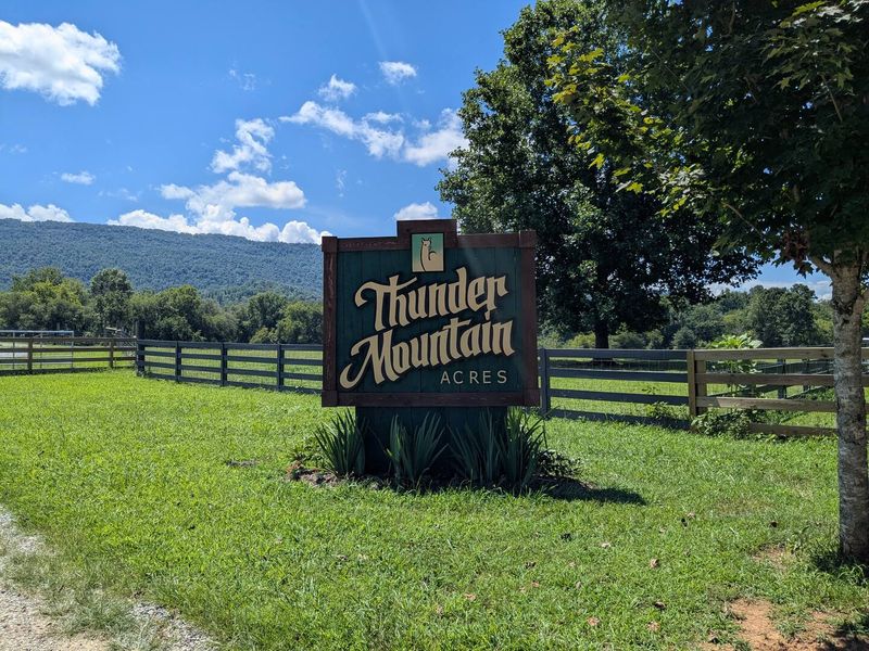 Best Time to Visit: Seasons, Weather, and When Alpacas Are Most Active