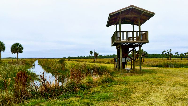 Lake Woodruff National Wildlife Refuge (near DeLand)