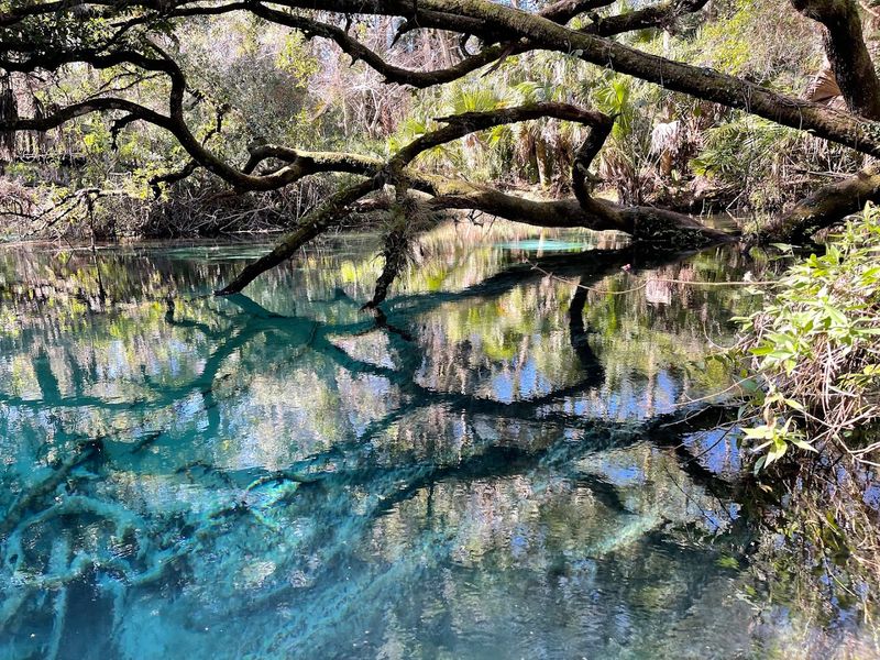 Juniper Springs Trail, Ocala National Forest