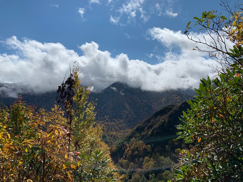 Alum Cave Trail (Great Smoky Mountains NP)