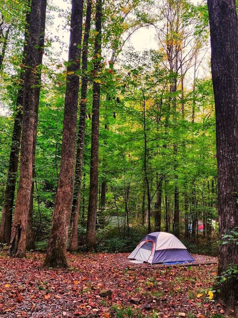 Lower Mount Cammerer Trailhead (Cosby)