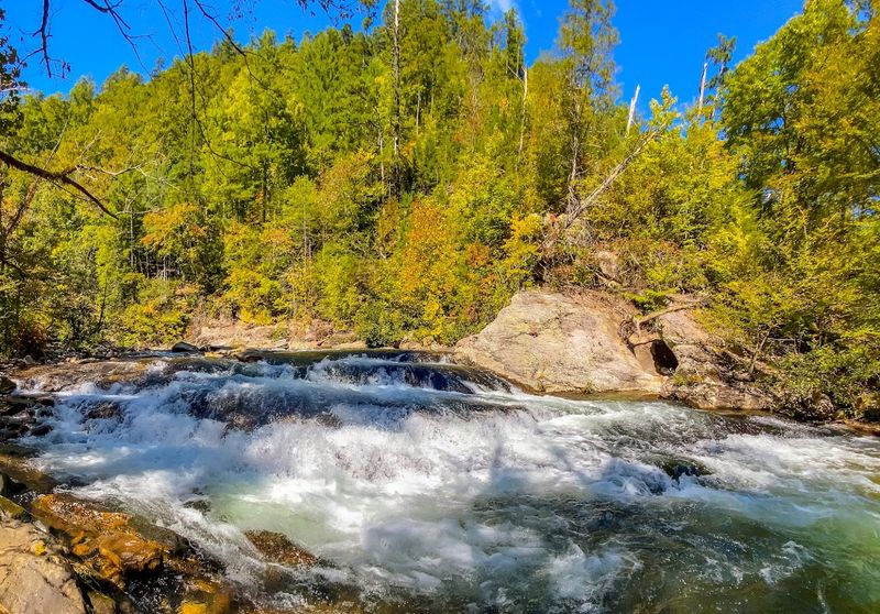 Citico Creek Wilderness