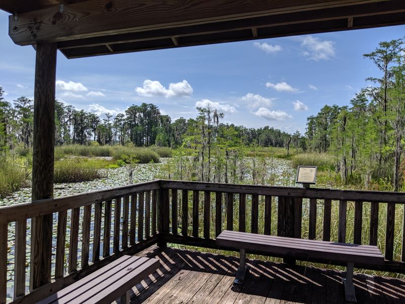 Tibet-Butler Nature Preserve (Orlando)