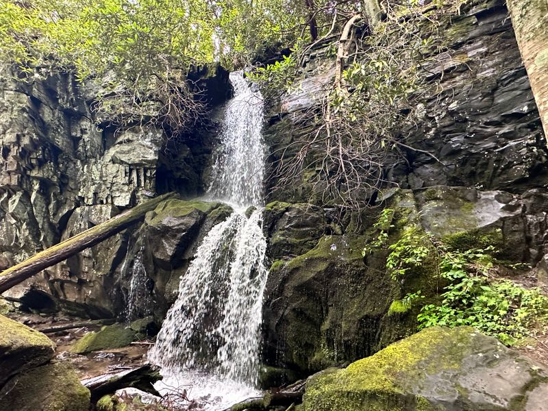 Baskins Creek Falls (Gatlinburg)