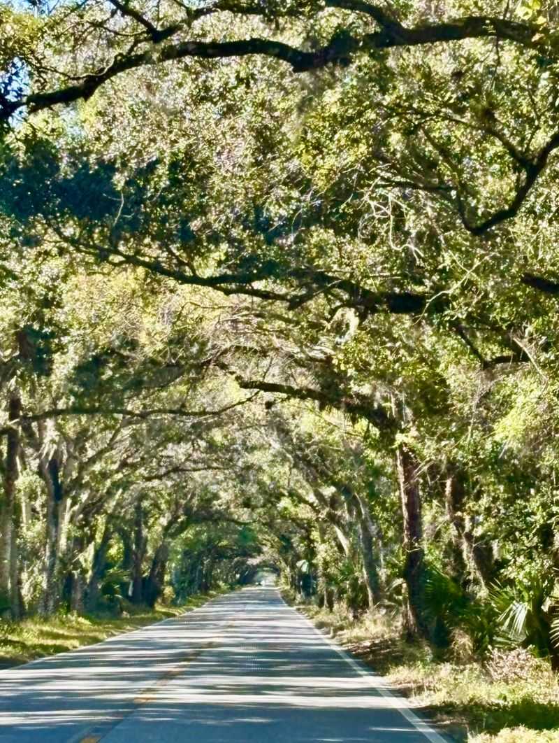 Directions, Parking, and Essentials