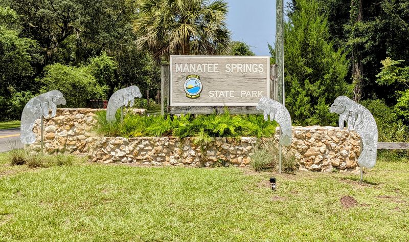 Manatee Springs State Park (Chiefland area / near the Suwannee River)