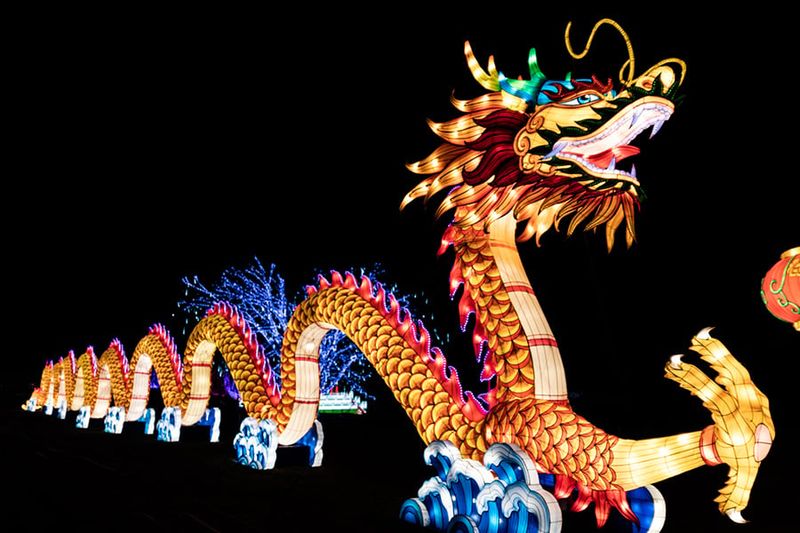 Zoolumination (Nashville Zoo)