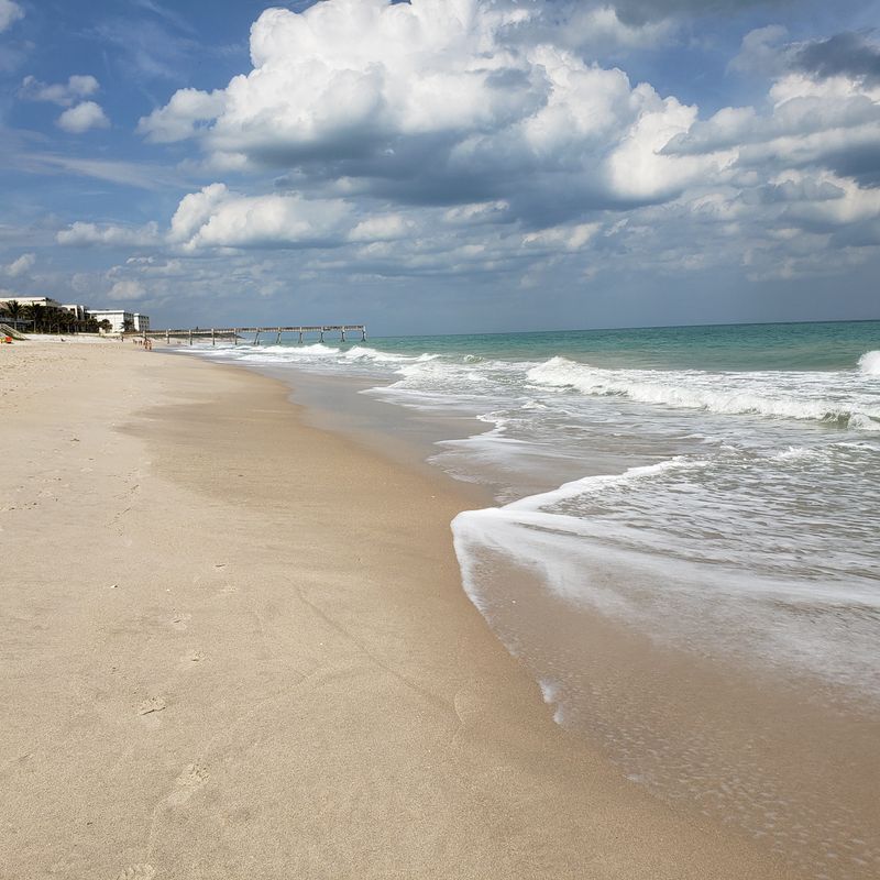 Seashell Hunting at Humiston Park