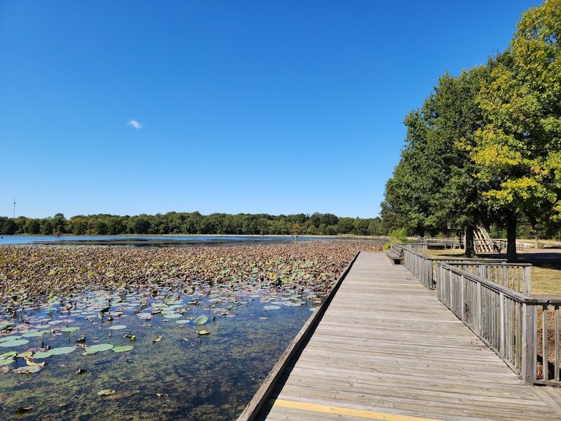 Hatchie National Wildlife Refuge