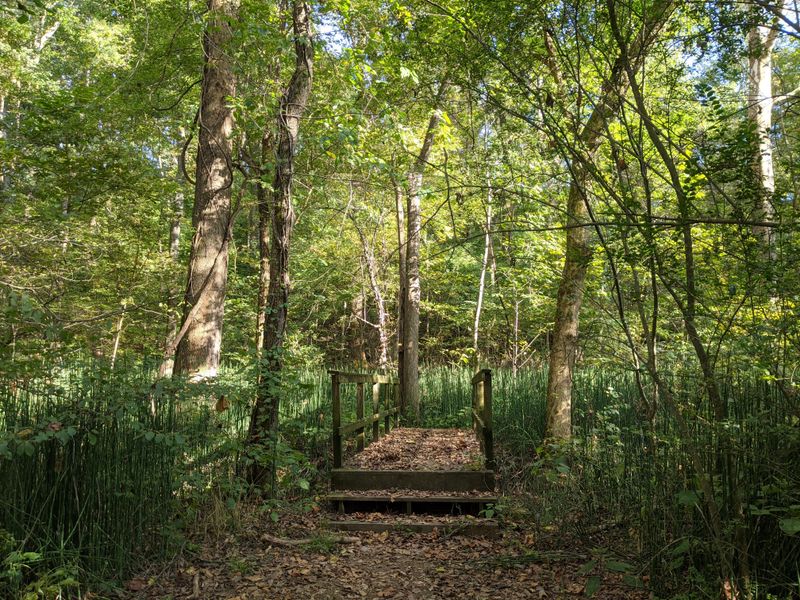 T.O. Fuller State Park (Memphis)