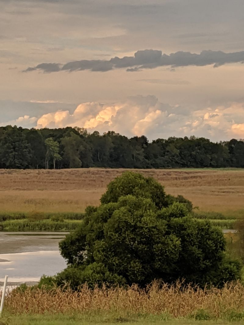 Hiwassee Wildlife Refuge (Birchwood)