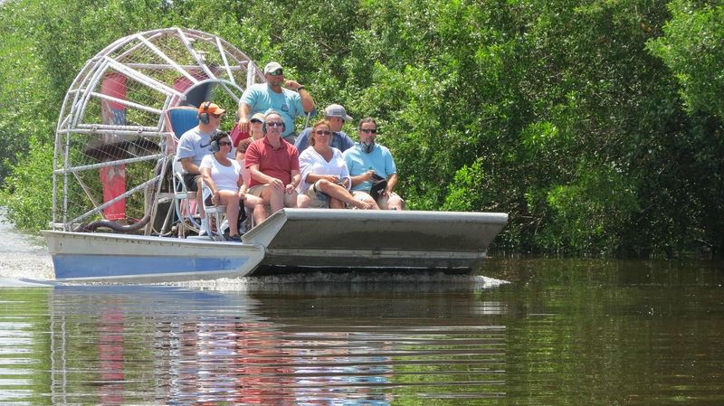 Airboat Through the Everglades