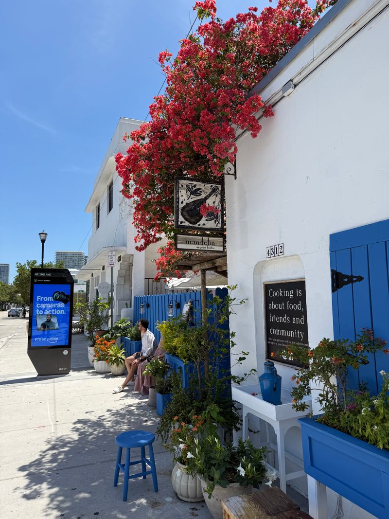 Mandolin Aegean Bistro