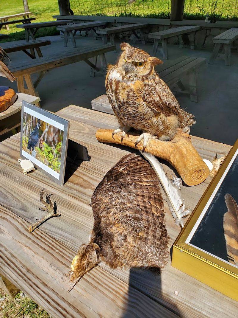 Seasonal Wildlife and Nature Experiences