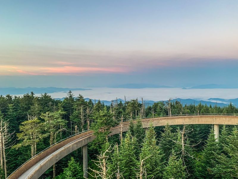 Clingmans Dome (Kuwohi) &mdash; Great Smoky Mountains