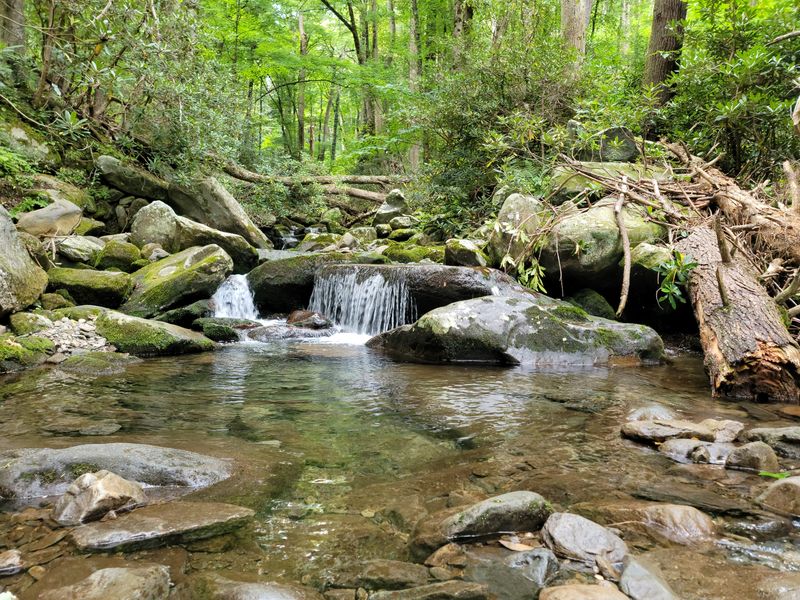 Rainbow Falls Trail (Great Smoky Mountains NP)