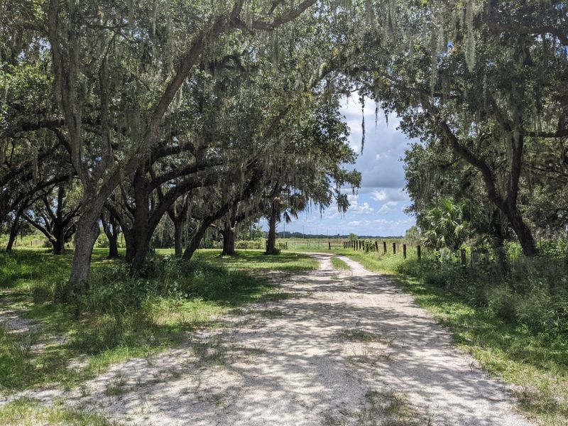 Kissimmee Prairie Preserve State Park (Okeechobee)
