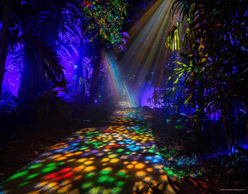 NightGarden at Fairchild Botanical Garden