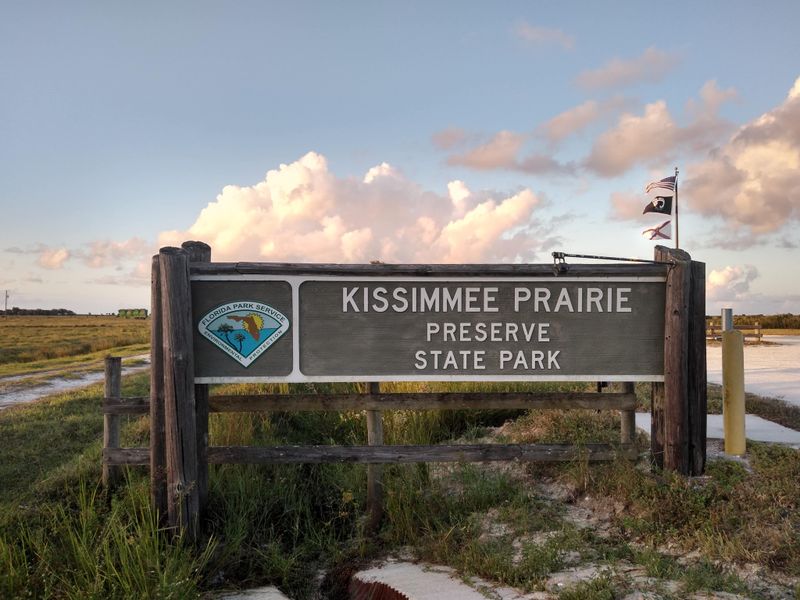 Kissimmee Prairie Preserve State Park