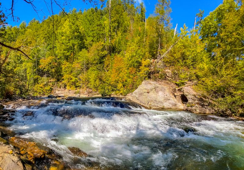 Citico Creek Wilderness (Vonore)