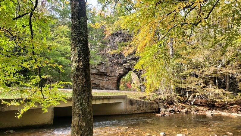 Breathtaking Forest Views Surrounding the Tunnel