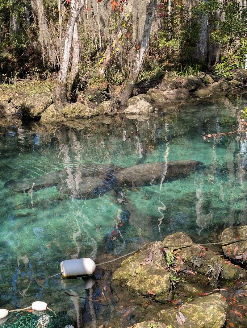 Three Sisters Springs