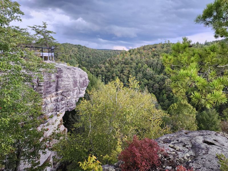 Obed Wild & Scenic River National Park (Wartburg)