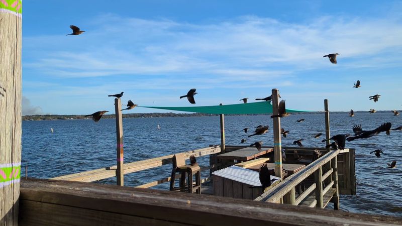 Family Friendly Beach And Deck Vibes