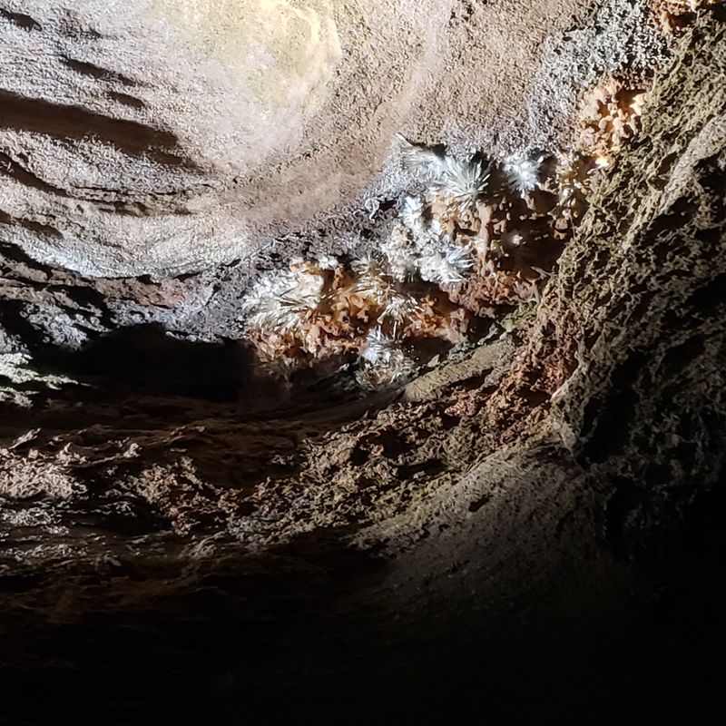 Craighead Caverns (Sweetwater)