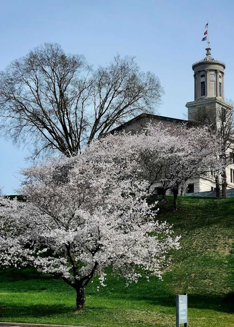 Victory Park &mdash; Nashville
