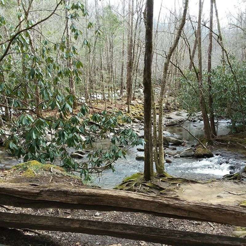 Sugarlands Valley Remnants