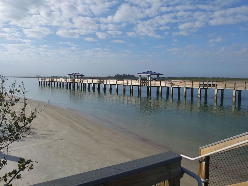 Smyrna Dunes Dog Beach