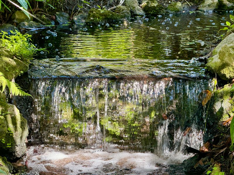 Seasonal Exhibits and Winter Events