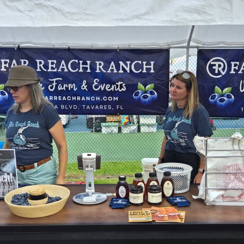 Live Music and Local Makers