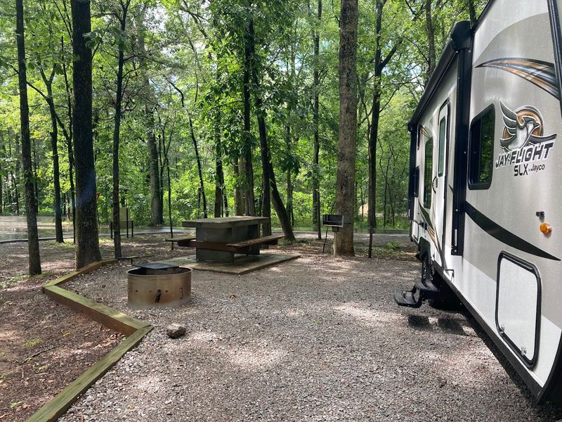 Picnic Areas, Open Fields, and Family-Friendly Spaces