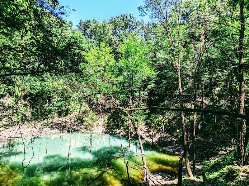 Timing, Fees, And Good Etiquette