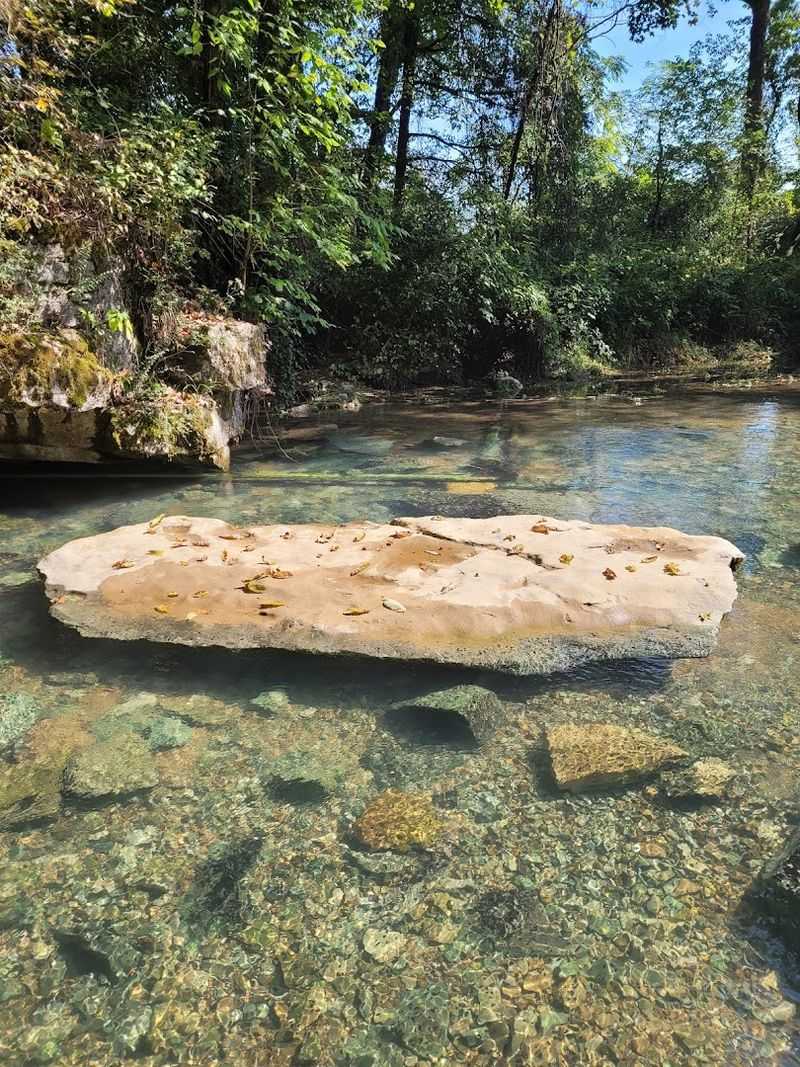 Sequatchie Cave State Natural Area