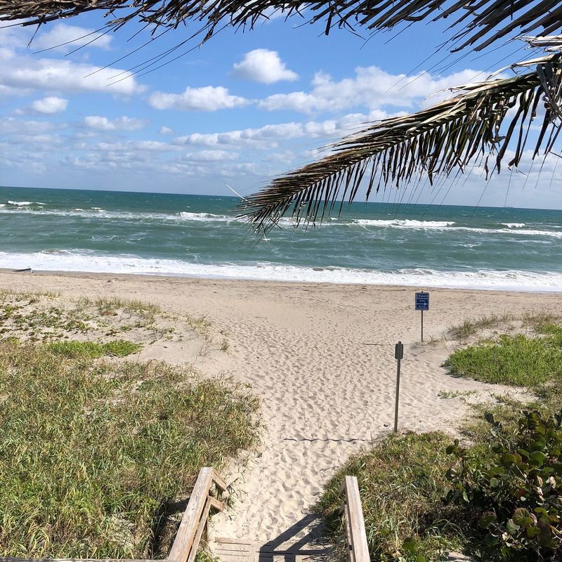 Sea Turtle Conservation Tour in Juno Beach