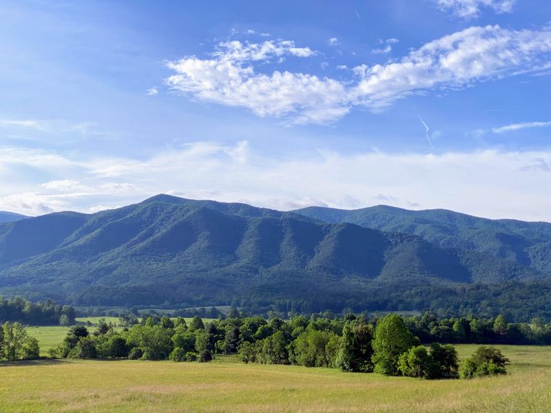 Cades Cove Loop Road