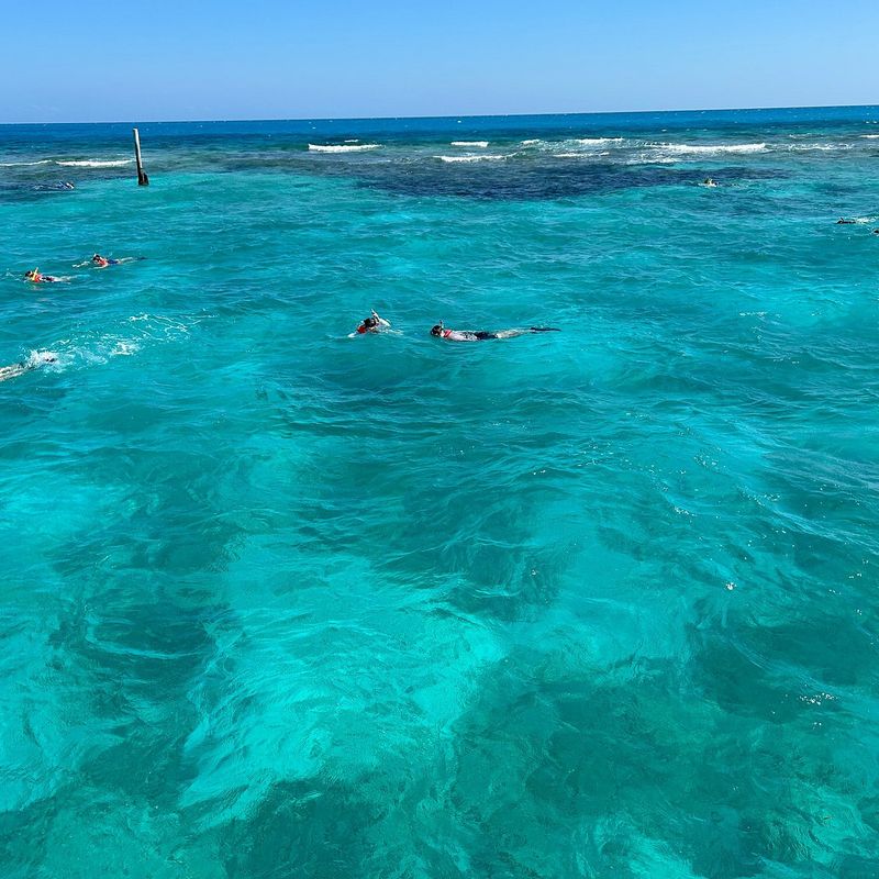 John Pennekamp Coral Reef State Park