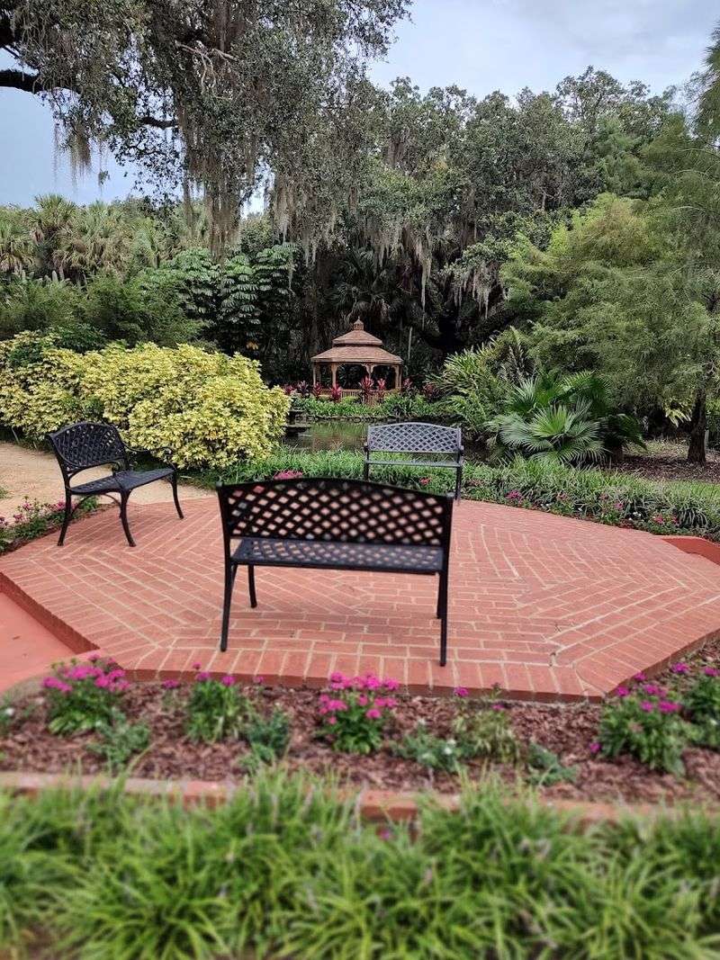 The best photo spots for roses, oaks, and ocean views